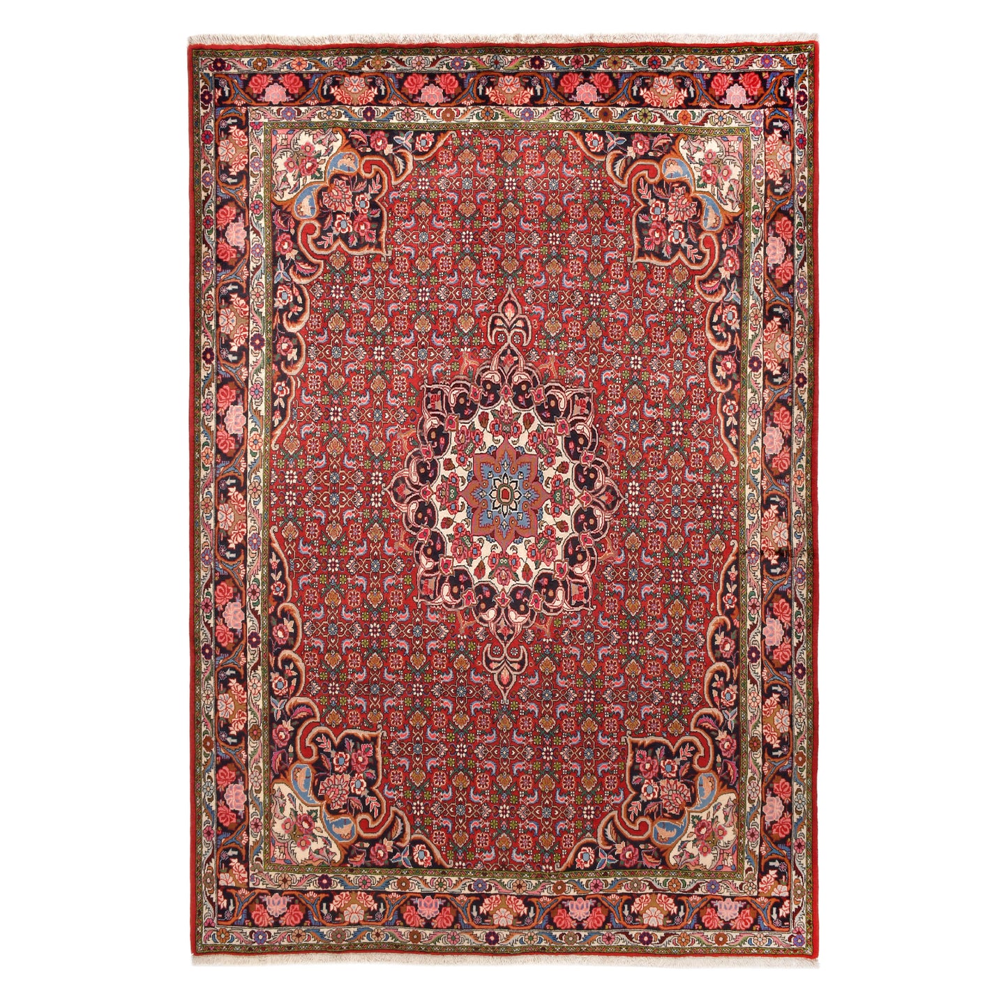 Tappeto Bijar 305 x 207 cm