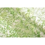 Tappeto Lavish 303 X 247 cm