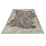 Tappeto Modern Royal Persia 299 X 206 cm