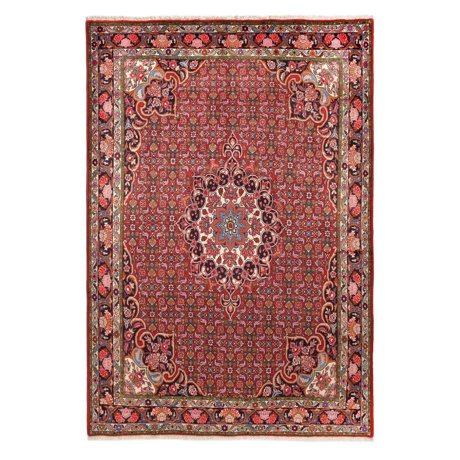 Tappeto Bijar 305 x 207 cm