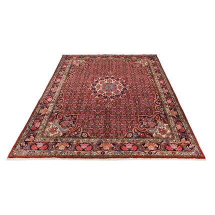 Tappeto Bijar 305 x 207 cm