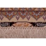 Tappeto Tabriz 60 Raj trama seta 207 X 146  cm